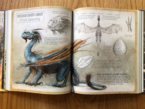 Harry Potter and the Goblet of Fire - Illustrated edition
