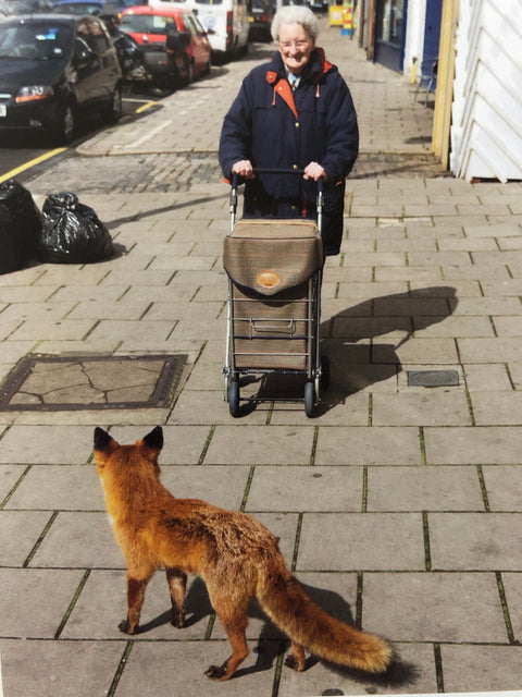 Fox about Town (One Picture Book)