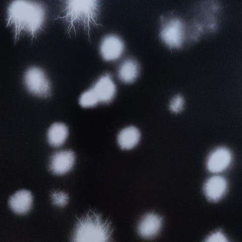 Hiroshi Sugimoto