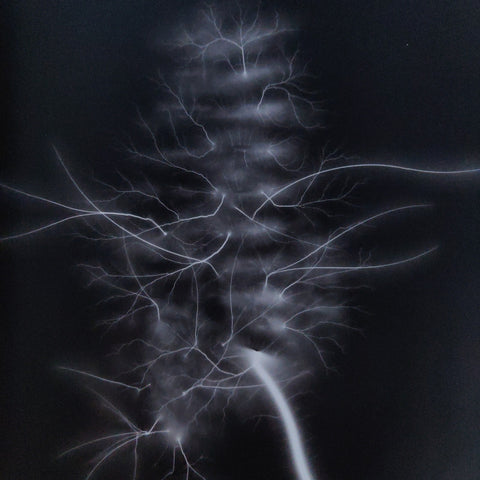Hiroshi Sugimoto