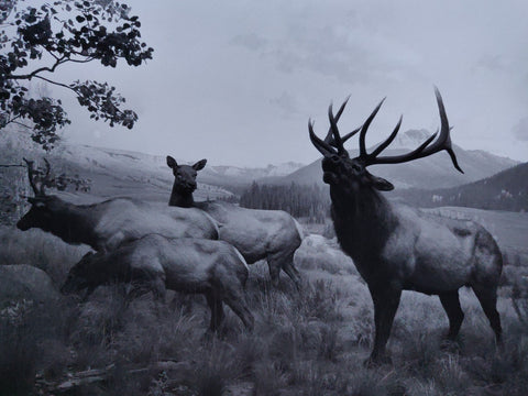 Hiroshi Sugimoto