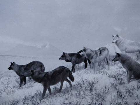 Hiroshi Sugimoto