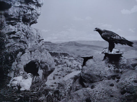 Hiroshi Sugimoto