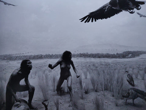 Hiroshi Sugimoto