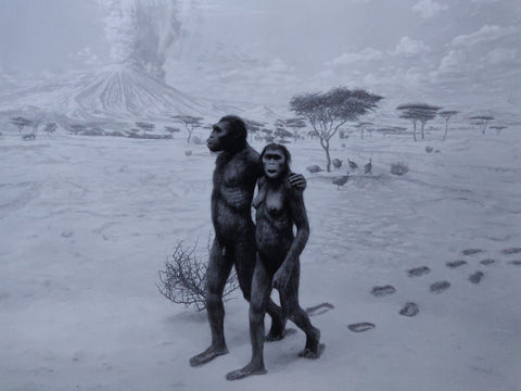 Hiroshi Sugimoto