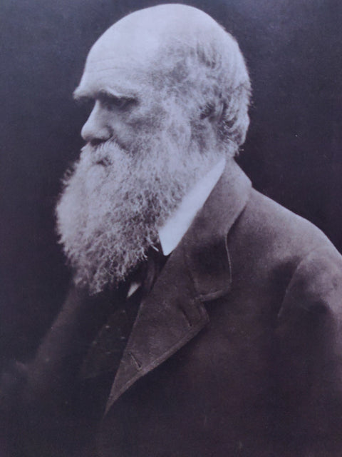 Julia Margaret Cameron