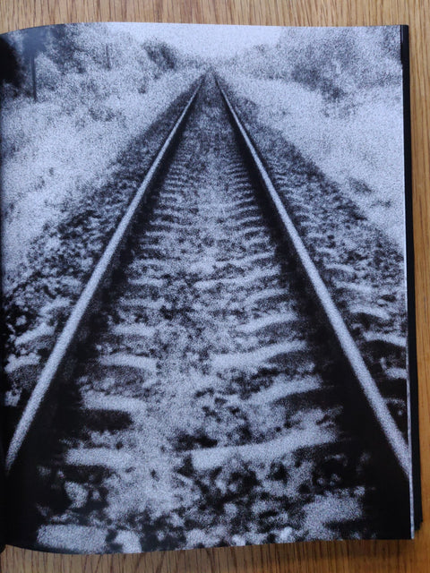 Beyond The Shadows: The Holocaust and the Danish Exception