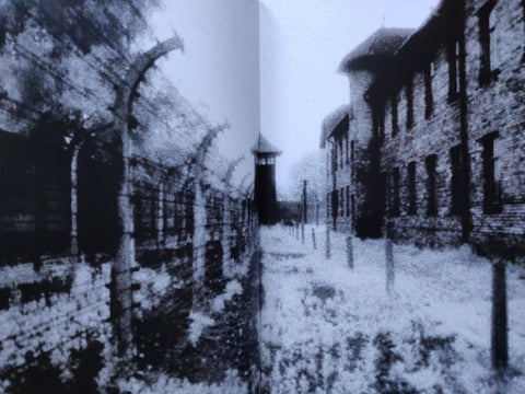Beyond The Shadows: The Holocaust and the Danish Exception