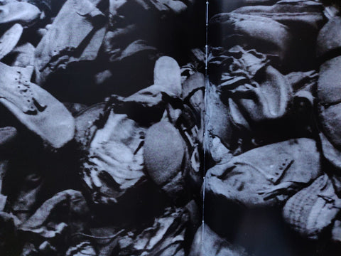 Beyond The Shadows: The Holocaust and the Danish Exception