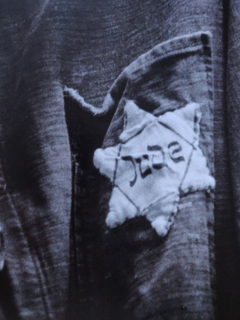Beyond The Shadows: The Holocaust and the Danish Exception