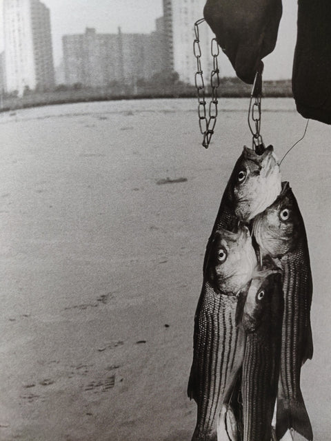 Happy / Brooklyn 1988 - 93