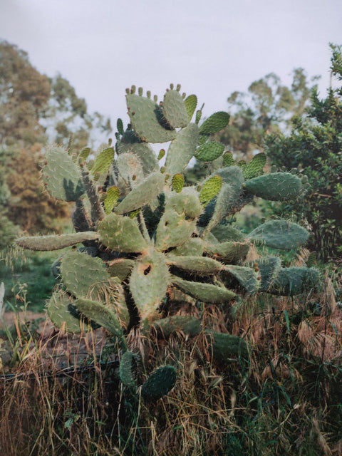 In Sardegna