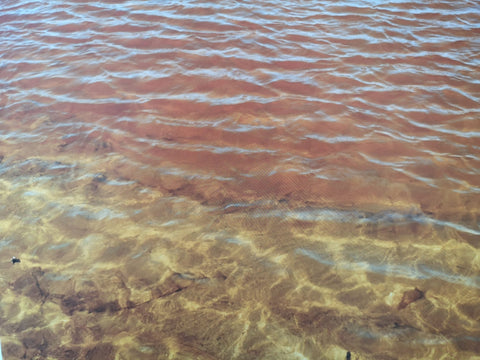 Fried Waters
