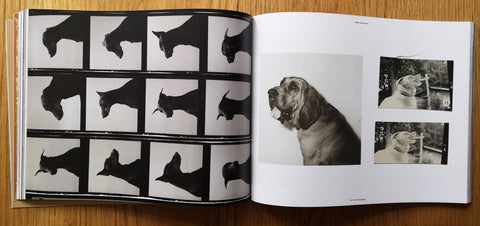 The Printed Dog 2