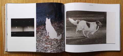 The Printed Dog 2