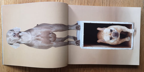 The Printed Dog 2
