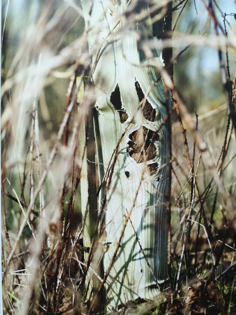 Spring in the Temple of Plastic Pillars