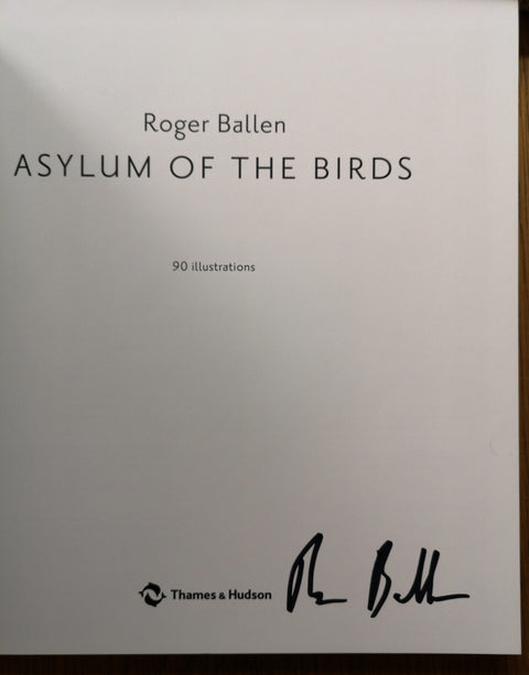 Asylum of the Birds