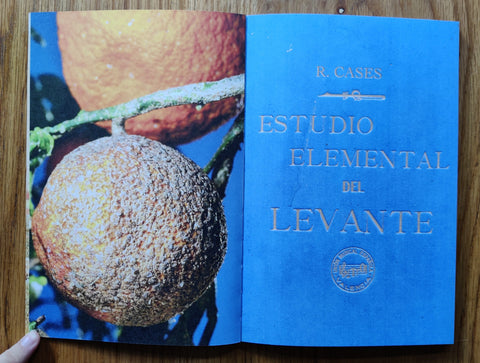 Estudio elemental del Levante