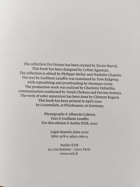 Des Oiseaux