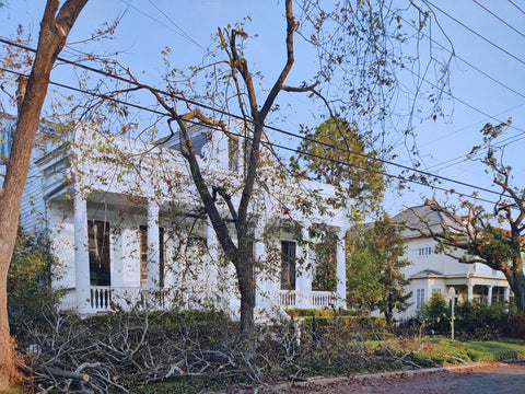 After the Flood