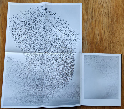 Murmurations