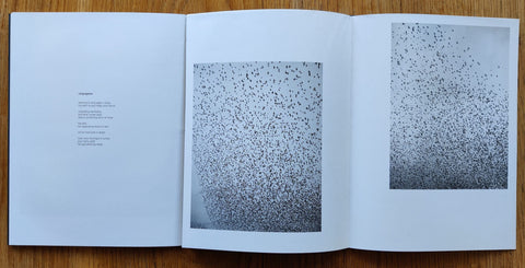 Murmurations