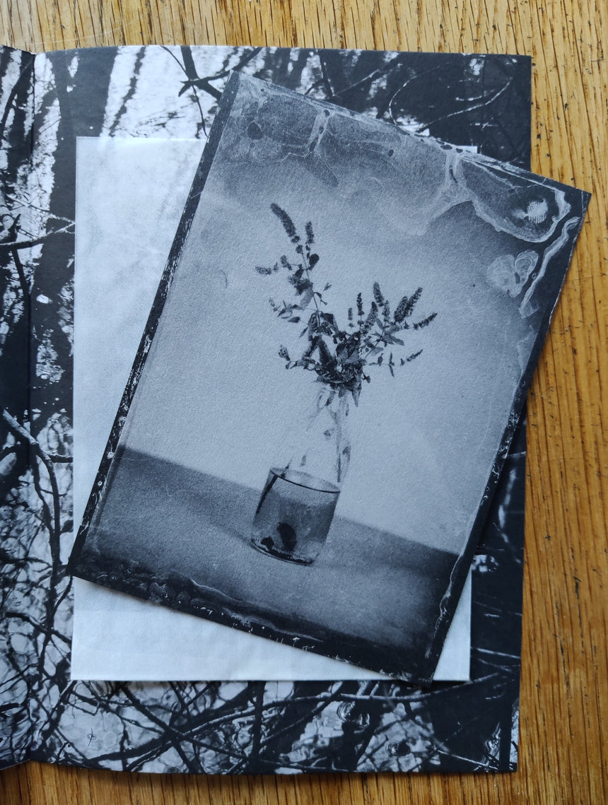 Self Portraits & Other Scenes Setanta Books