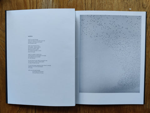 Murmurations - Special Edition