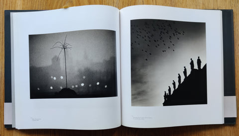 A Twenty Year Retrospective (First Edition)