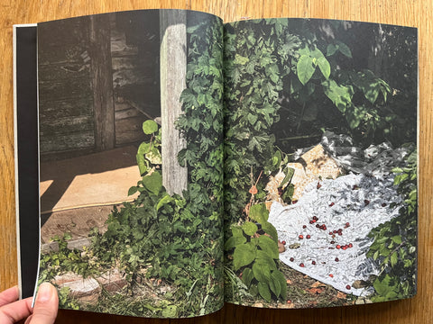 Book of Sorrow