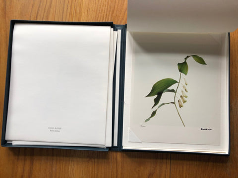 Wild Flowers - Setanta Books