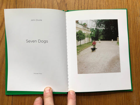 Seven Dogs (One Picture Book)