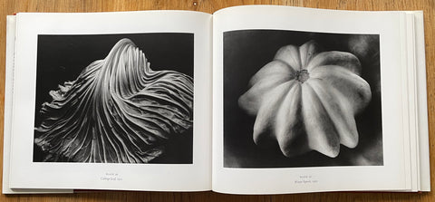 Supreme Instants: The Photography of Edward Weston