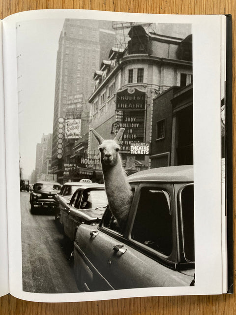 Magnum's Women Photographers