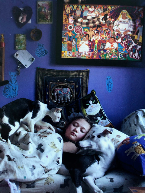 Amelia & The Animals