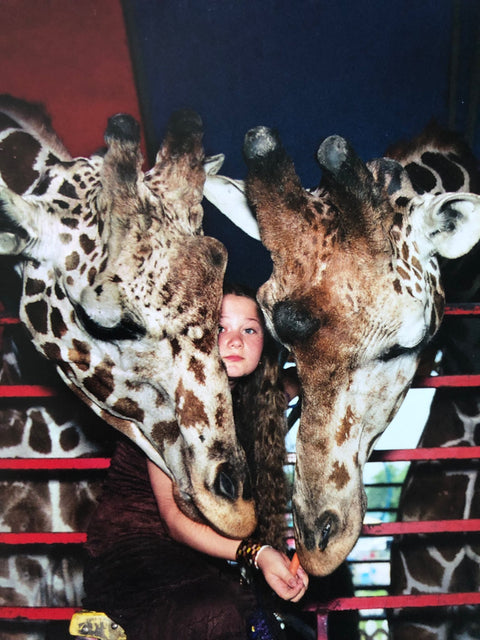 Amelia & The Animals