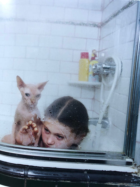 Amelia & The Animals