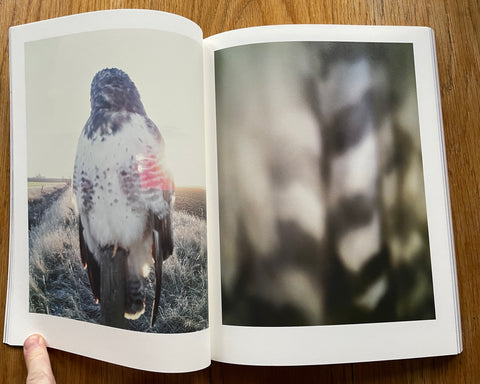 Stephen Gill - IMA catalogue