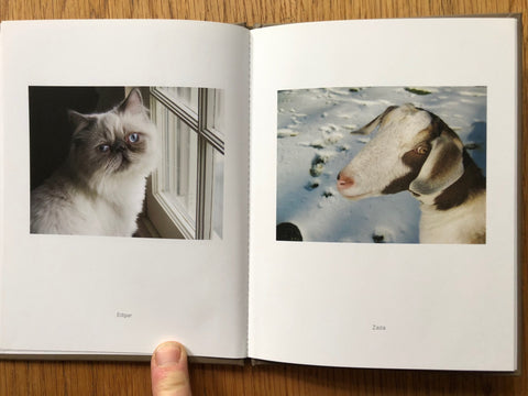 Pet Pictures (One Picture Book)