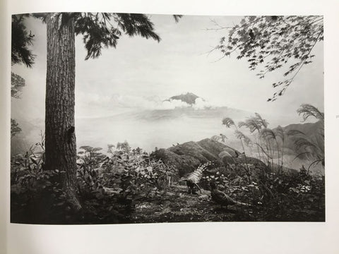 Dioramas