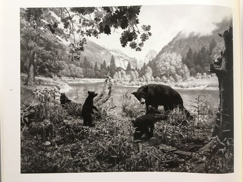 Dioramas