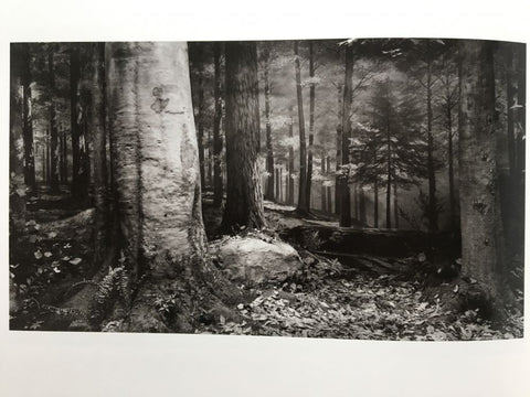 Dioramas