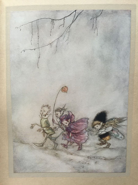 Arthur Rackham's book of Pictures