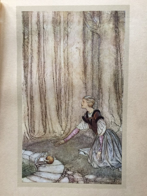Arthur Rackham's book of Pictures