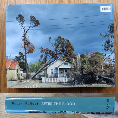 After the Flood