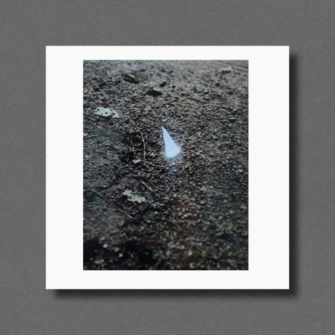 Gregory Halpern Magnum Square Prints