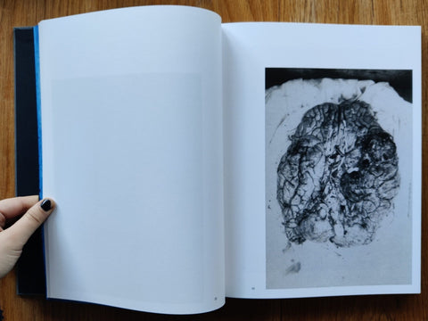 A city behind the forest - Setanta Books