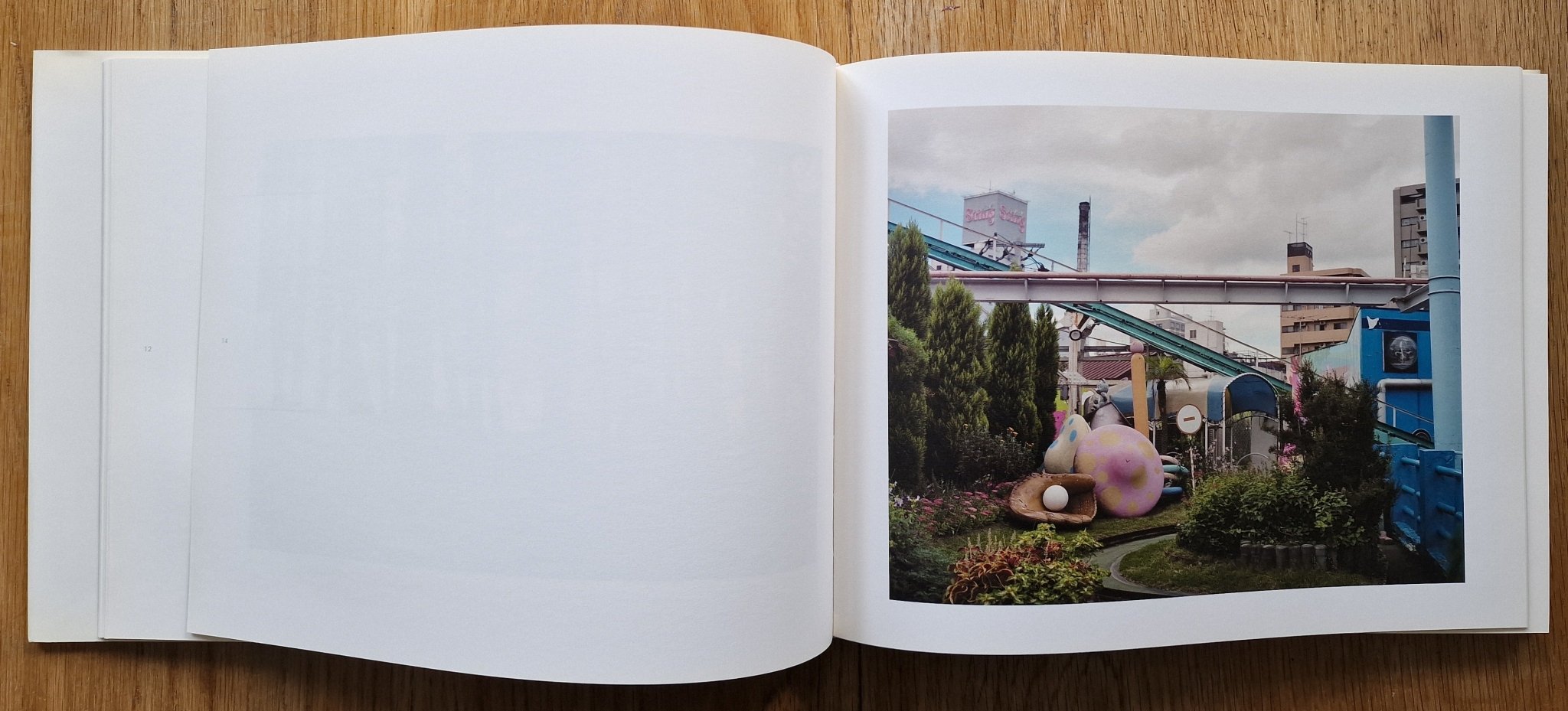 Buy A Storybook Life by Philip-Lorca diCorcia Online – Setanta Books
