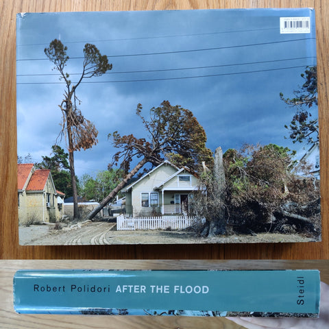 After the Flood